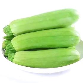 【QT】新鲜蔬菜西葫芦