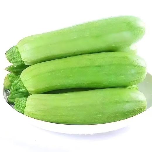 【QT】新鲜绿色蔬菜西葫芦 商品图0