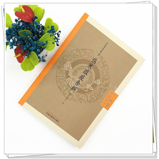 伤寒瘟疫条辨 中医临证经典文库 清 杨栗山 著 清代温病经典升降散温病学中医疫病防治中医古籍图书9787513298346中国中医药出版社 商品图2