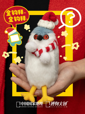 我家孩子可以当鸟模吗？