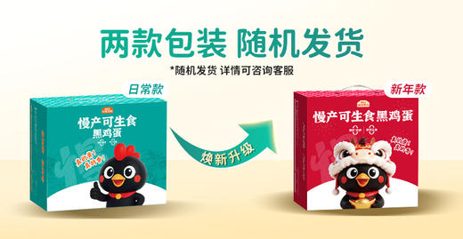 好念头 始祖黑鸡 慢产可生食黑鸡蛋 生态农场蛋品可溯源 商品图4