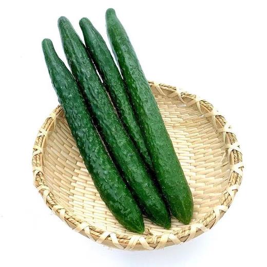 【ZCWJ】新鲜采摘脆嫩黄瓜 商品图1