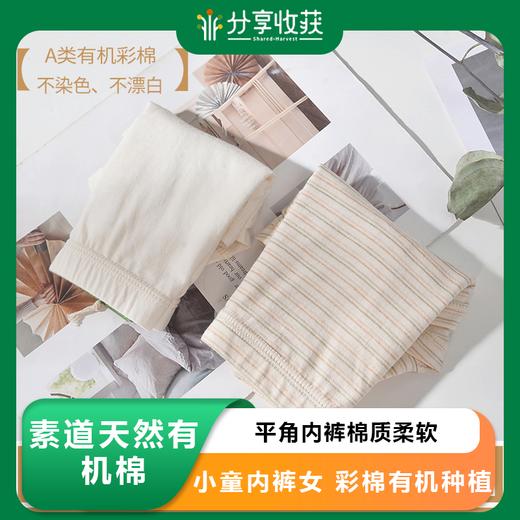 素道小童内裤女 彩棉有机种植平角内裤棉质柔软 婴儿内裤女防漏尿 商品图0