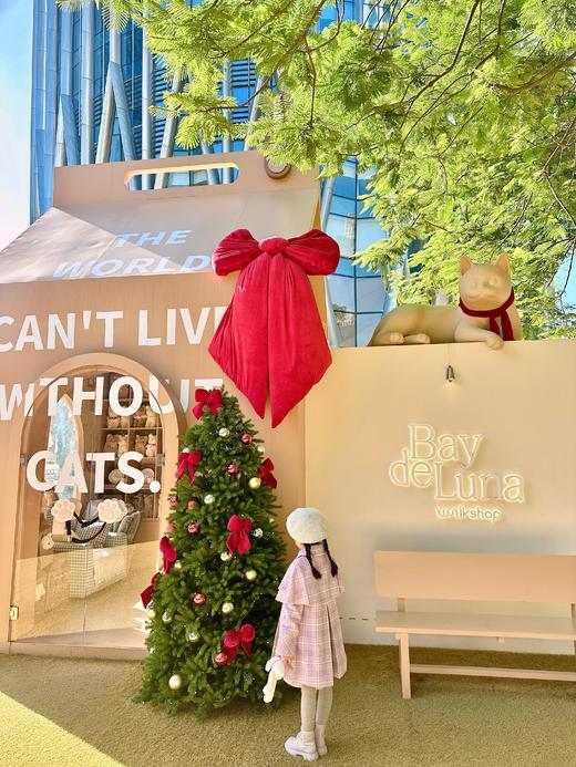 【春上新】8楼琳麦罗 LYNN&MILO 紫色可拆卸斗篷大衣 商品图6