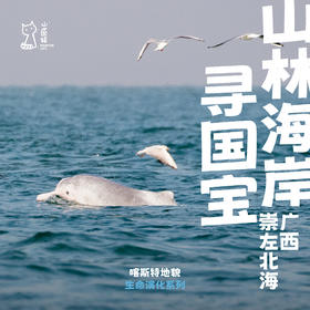 「早鸟价 · 五一假期」山林海岸寻国宝 · 广西旗舰物种发现之旅