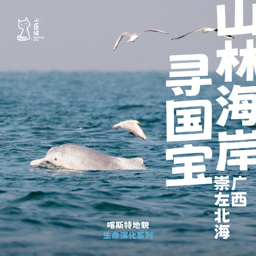 「国庆假期」山林海岸寻国宝 · 广西旗舰物种发现之旅 商品图0