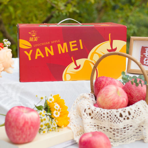 陕西洛川苹果 商品图3