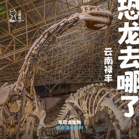 「暑假」恐龙去哪了·云南古生物探索之旅