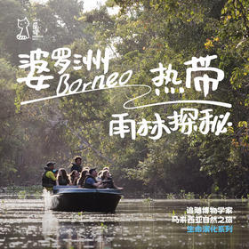 「2027寒假」追随博物学家的足迹 · 婆罗洲雨林生态探秘之旅