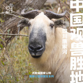 「国庆假期」中国观兽胜地 · 四川唐家河亲子科学考察营