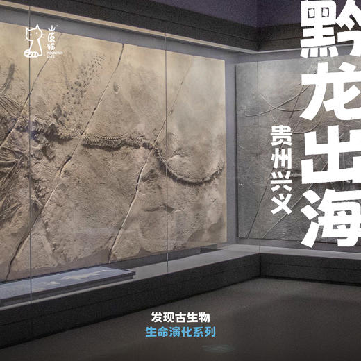 「暑假」黔龙出海 · 贵州古生物探秘 商品图0