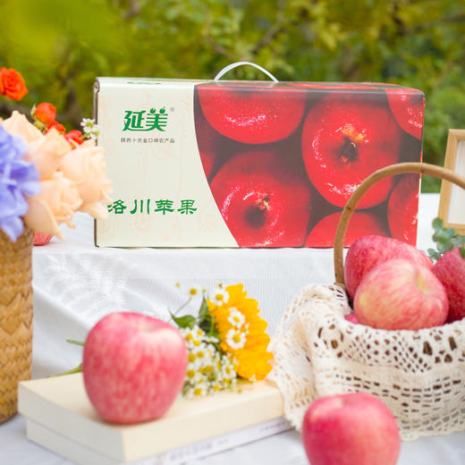 陕西洛川苹果 商品图2