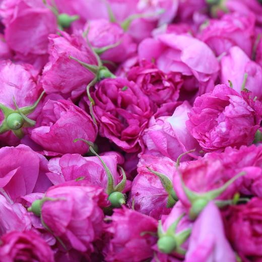 玫瑰红茶 2025年 福建政和工夫红茶和平阴玫瑰窨制 商品图3