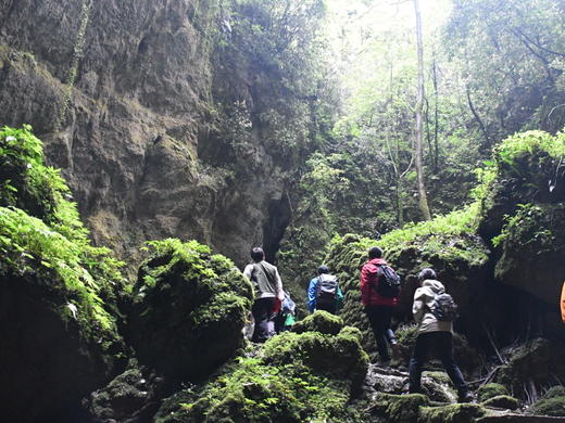 1.2【地心探险】探索亿万年地下洞穴，两个岩溶洞穴，揭开喀斯特之谜，做一回“地心探险者”！开启一场奇妙的洞穴探索之旅！ 商品图7
