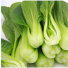 【QT】新鲜蔬菜小油菜 商品缩略图1