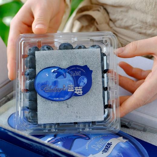 云南高原花香蓝莓 【抚仙湖核心产区，顺丰空运】 商品图6