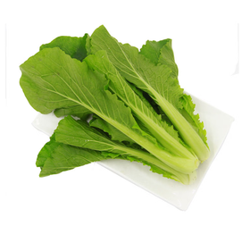 【SF】新鲜蔬菜小白菜