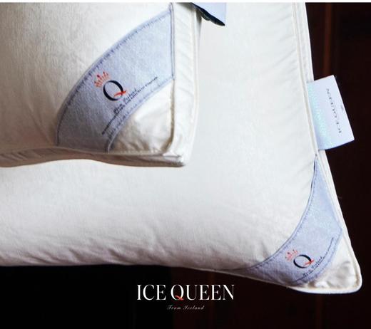 【意大利真丝面料】ICE QUEEN 女王真丝纯鹅绒枕芯  48*74cm 商品图3