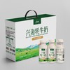 兴海牦牛奶 （巴氏奶 220ML*10罐） 商品缩略图0
