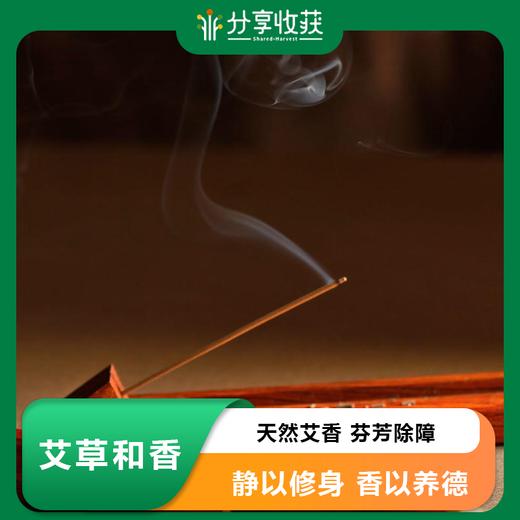 艾草和香| 公平贸易 * Chinese Mugwort Incense | Fair Trade 商品图0