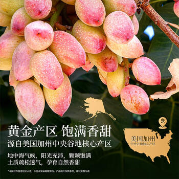 良品铺子美国开心果500g每日坚果干果家庭囤货休闲零食长辈年货节团购送礼 /休闲食品 /坚果炒货 /开心果 商品图0