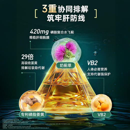 NYO3 阿蒙森岩藻黄素60粒/瓶 商品图4