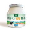 兴海牦牛酸奶 （无糖型 580g/罐） 商品缩略图0