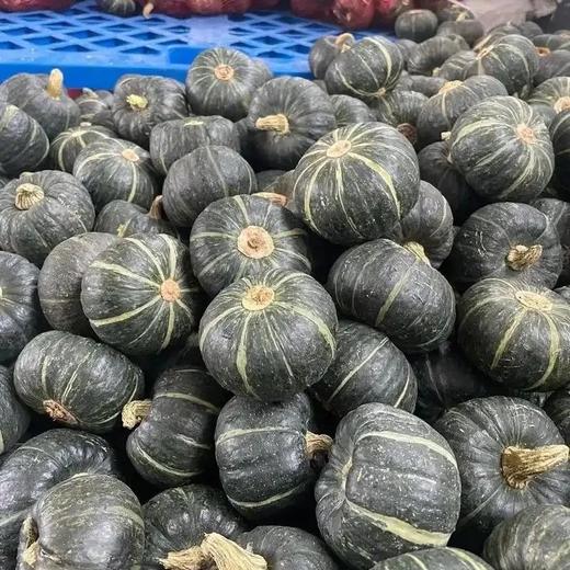 贝贝南瓜 商品图1