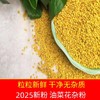 2025年新鲜采摘！青海高原油菜花粉食用蜂花粉 商品缩略图4