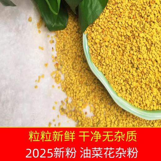 2025年新鲜采摘！青海高原油菜花粉食用蜂花粉 商品图4