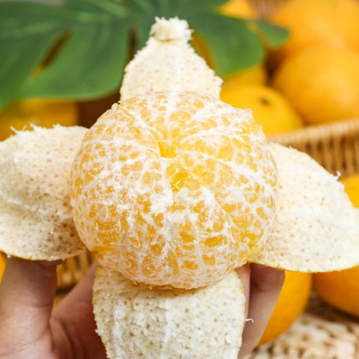 【京东包邮】广东德庆贡柑 脆嫩少渣 4.8斤中果/大果/32枚大果彩箱装 商品图3