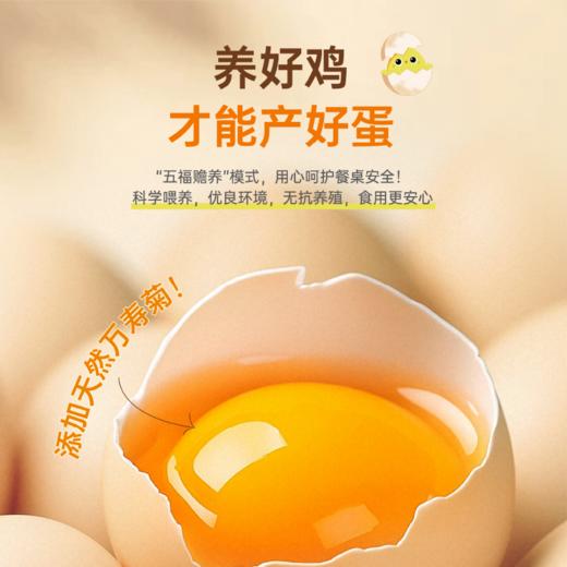 果真田园叶黄素可生食鸡蛋40枚【分仓直发，72小时发货，周末节假日不发货】 商品图3