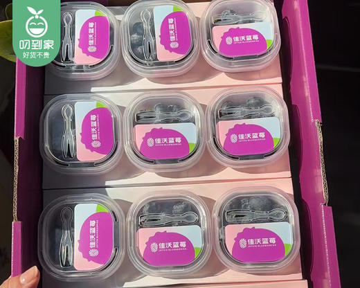 【到手3杯】佳沃云南花香蓝莓（L25）/3杯（单杯约60g） 商品图3
