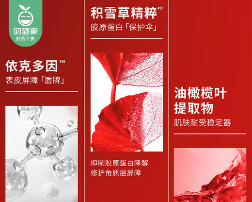 【预售-12月29日配送】【复颜水+抗皱乳】欧莱雅复颜专研水/1组（爽肤水130ml*1瓶+乳液50ml*2瓶）限用日期：28年1月 商品图4