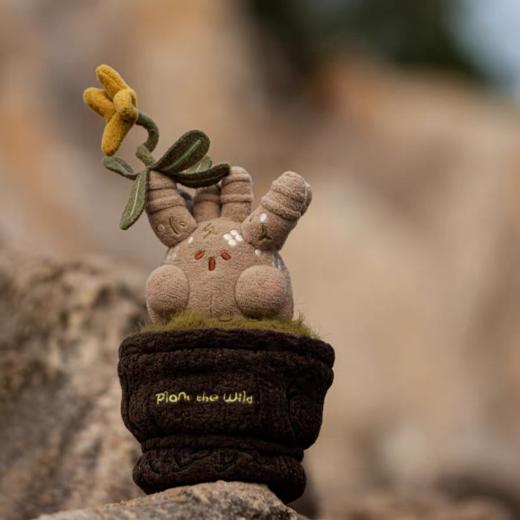 logaloga/盆栽摆件 商品图0