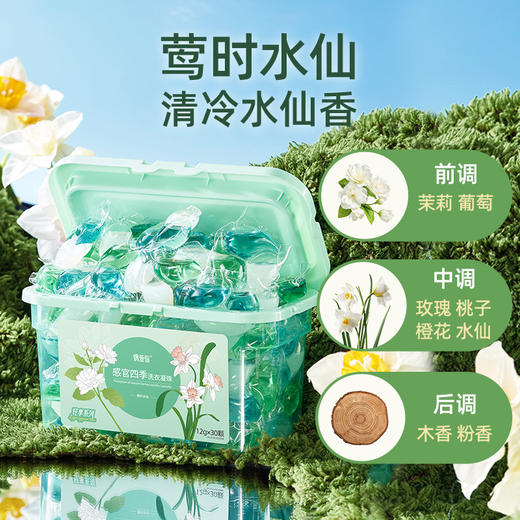 【四盒装】偶爱你四季轻享水仙凝珠+黑科技凝珠【龙菲精选】 商品图3