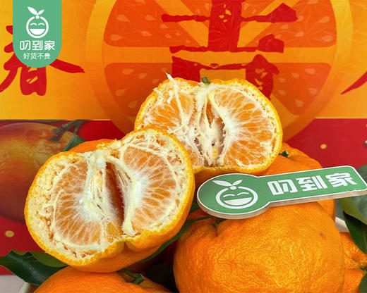 老林家高山树熟永春芦柑礼盒（大果）/1箱（16个，共3.25-3.5kg） 商品图1