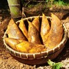 【2025冬日时令美味 临安高山冬笋】 产自临安天目山 现寻现发 鲜嫩清甜 出肉率高 颗颗饱满 泡沫箱+冰袋的专业锁鲜包装 新鲜到家 商品缩略图4