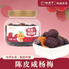柑天下丨陈皮咸杨梅广东蜜饯凉果果脯休闲零食 商品缩略图0