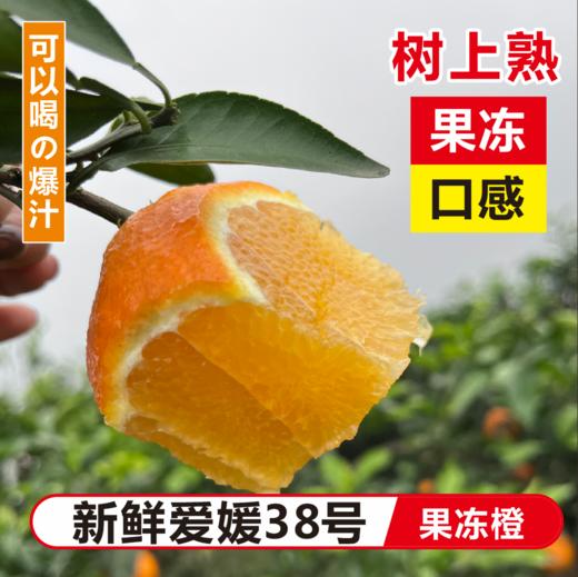 四川爱媛果冻橙5斤装【分仓直发，72小时发货，周末节假日不发货】 商品图3