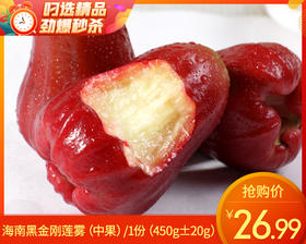 海南黑金刚莲雾（中果）/1份（450g±20g）