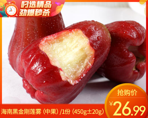 海南黑金刚莲雾（中果）/1份（450g±20g） 商品图0