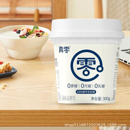 真零酸奶0乳糖0代糖纯酸奶低温酸奶300g桶装发酵原味酸奶代餐奶 商品图1