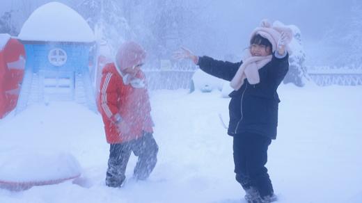 寒假2.22❗️【大王叫我来巡山】雅安大熊猫国家公园3天2夜独立营：权威基地背书；大熊猫栖息地小小巡护员；一线巡护员+自然导师；生物地理环保跨学科知识；冬季限定玩雪；解锁多项专业技能 商品图10