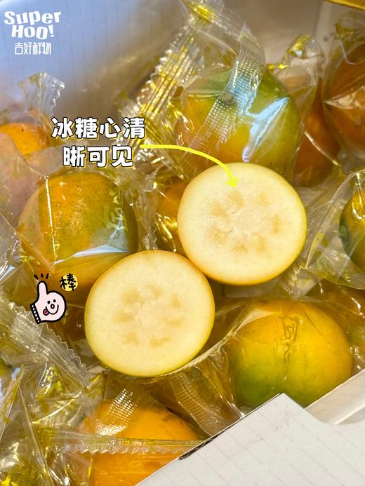 【觅趣小铺·匠心极-金桔】冰糖脆皮橘！皮薄肉嫩多汁带糖心，纯甜不酸涩～ 商品图1