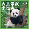 寒假2.22❗️【大王叫我来巡山】雅安大熊猫国家公园3天2夜独立营：权威基地背书；大熊猫栖息地小小巡护员；一线巡护员+自然导师；生物地理环保跨学科知识；冬季限定玩雪；解锁多项专业技能 商品缩略图0