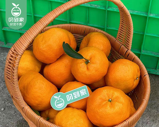 老林家高山树熟永春芦柑（中果）/1箱（13-15个，共2.25kg±100g） 商品图2