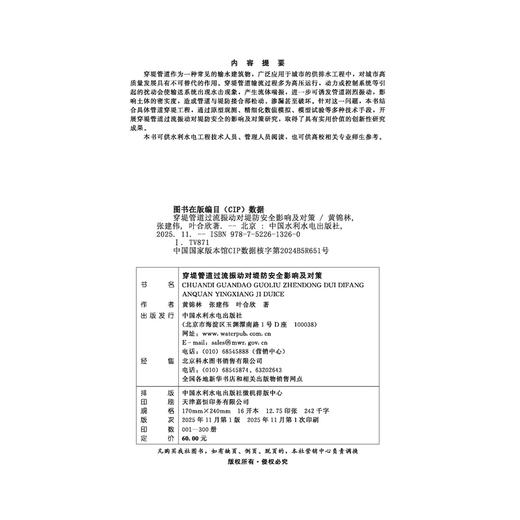 穿堤管道过流振动对堤防安全影响及对策 商品图4