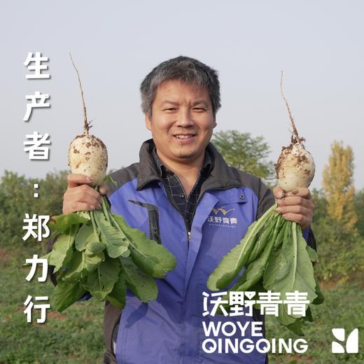 青青自种青萝卜和白萝卜，4.5斤包邮 商品图2