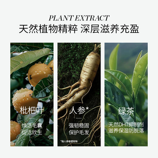 美国RevitaLash丰盈强韧洗发护发套装【郑州仓】 商品图2